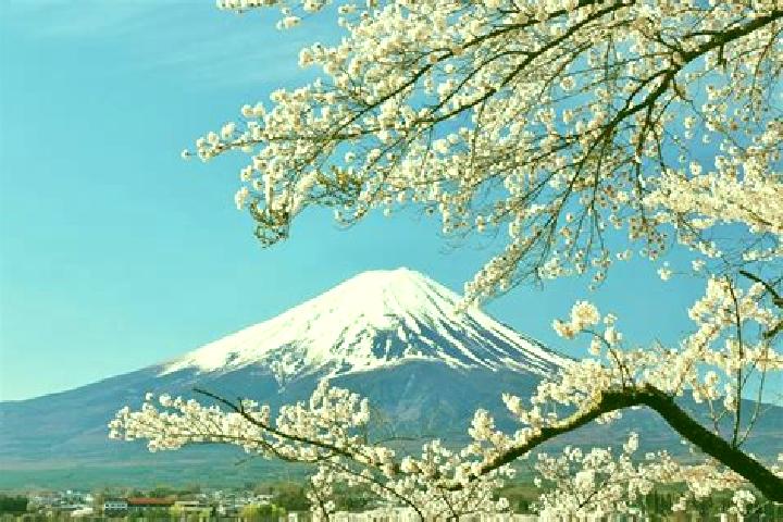 Aurora, 22 — Escort in Koshi, Japan