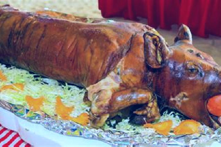 Aurora, 22 — Escort in Lechon, Spain