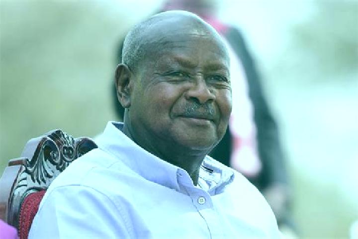 Aurora, 22 — Escort in Sironko, Uganda