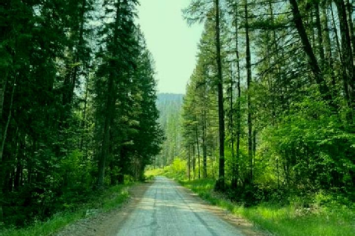 Aurora, 22 — Escort in Six Mile, United States