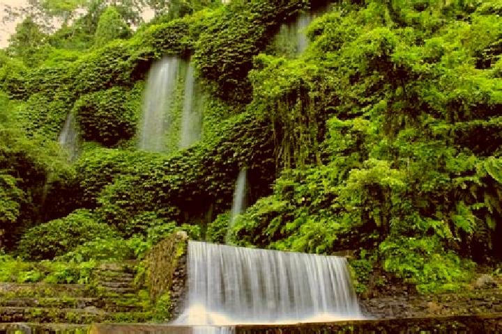 Aurora, 22 — Escort in Wolowona, Indonesia