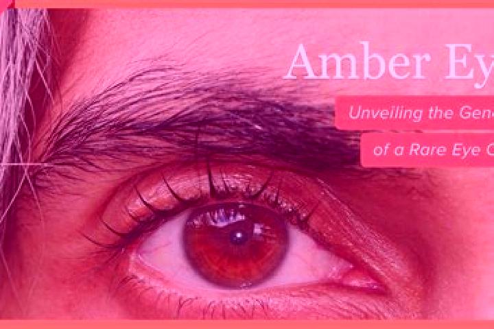 Aurora, 23, a black amber-eyed indian companion based in Los Gomez. Offering OWO, Tantra, Massage. Available for incall and outcall, day and evening dates.