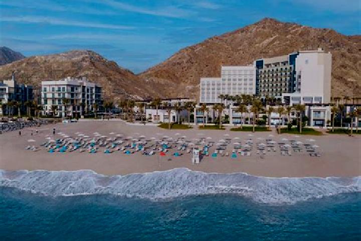 Aurora, 23, a red green-eyed mixed companion based in Dibba Al-Fujairah. Offering BDSM, Erotic Massage, Party Girl, Overnight. Available for incall and outca...