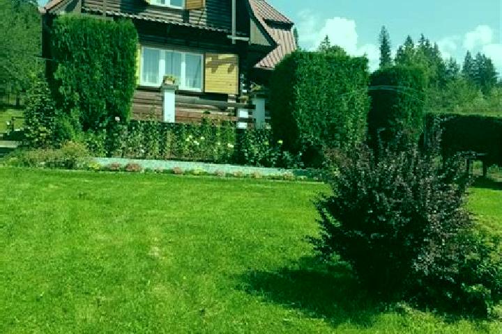 Aurora, 23 — Escort in Lunca Bradului, Romania