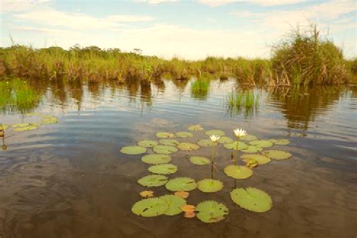 Aurora, 23 — Escort in Pantanal, Mexico