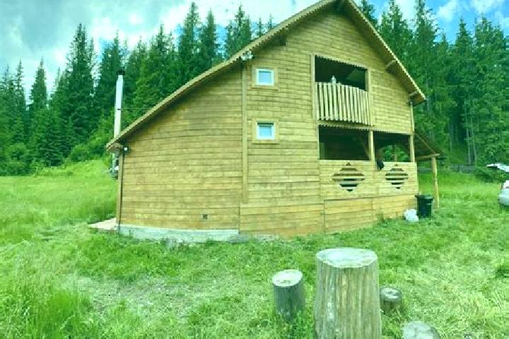 Aurora, 23 — Escort in Picior de Munte, Romania