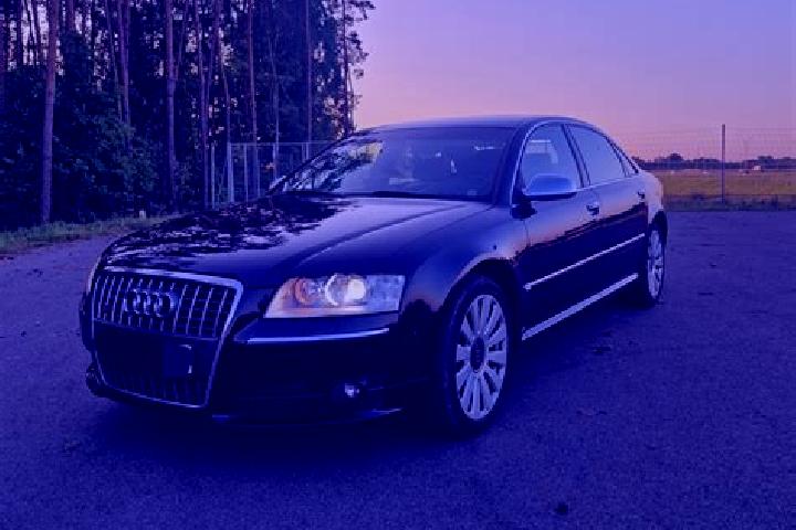 Aurora, 23 — Escort in Strzegowo, Poland