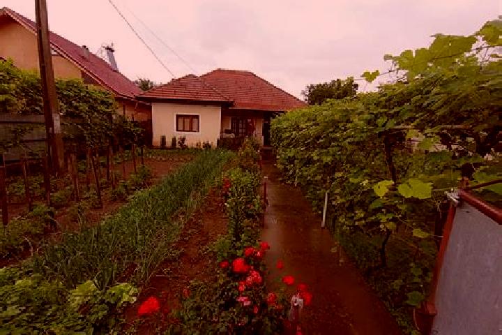 Aurora, 24 — Escort in Borosteni, Romania