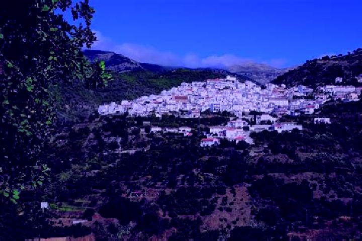 Aurora, 24 — Escort in Canillas de Albaida, Spain