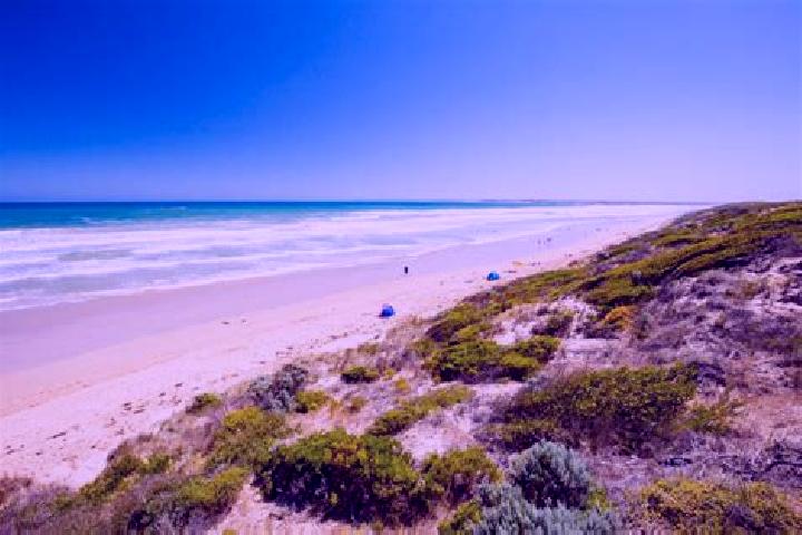 Aurora, 24 — Escort in Cedar Grove, Australia