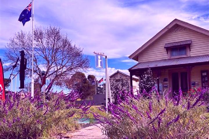 Aurora, 24 — Escort in Edenhope, Australia