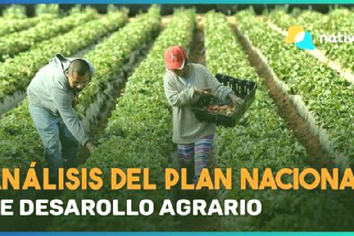 Aurora, 24 — Escort in Ejido Plan Nacional Agrario, Mexico