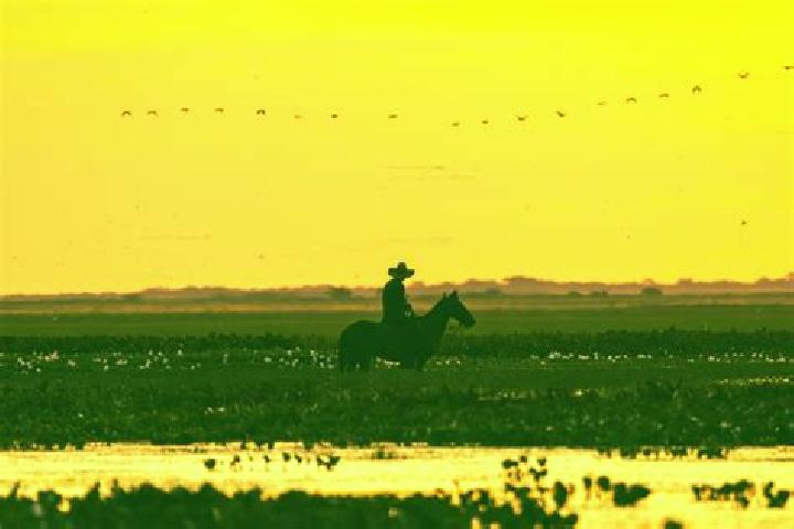 Aurora, 24 — Escort in El Llano de los Vela, Mexico