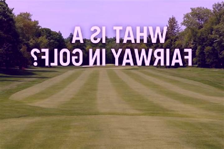 Aurora, 24 — Escort in Fairway, United States