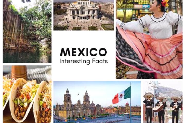 Aurora, 24 — Escort in Mesatunych, Mexico