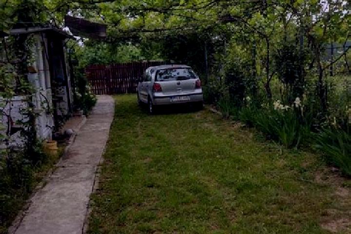 Aurora, 24 — Escort in Podenii Noi, Romania
