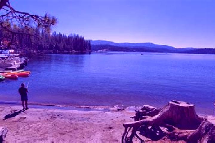 Aurora, 24 — Escort in Shaver Lake, United States