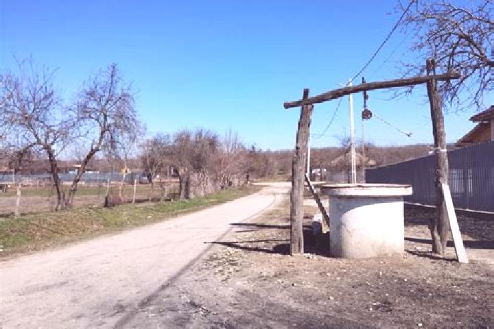 Aurora, 24 — Escort in Teleormanu, Romania