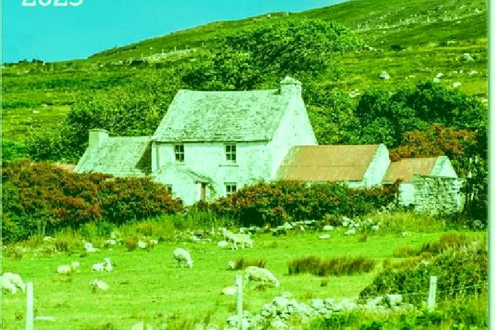 Aurora, 25 — Escort in Carrignavar, Ireland