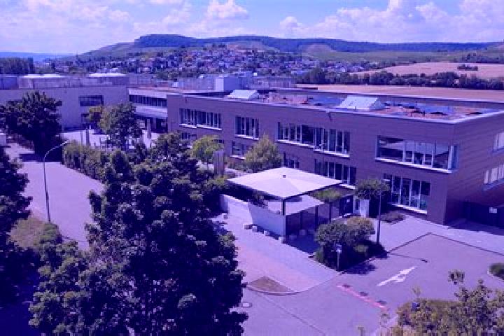 Aurora, 25 — Escort in Erlenbach, Germany