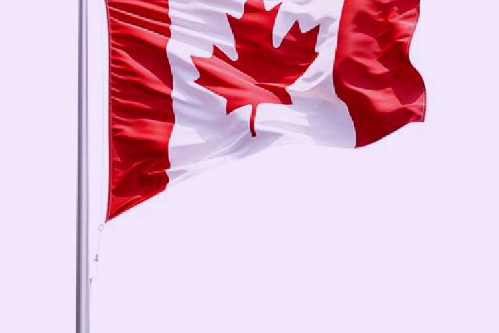 Aurora, 25 — Escort in Gellatly, Canada