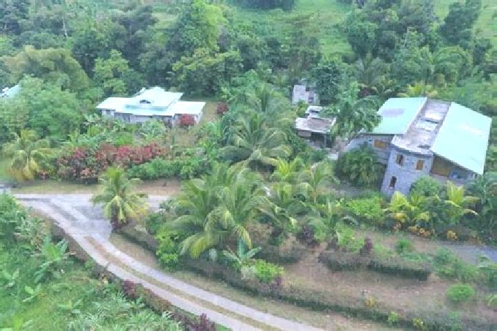 Aurora, 25 — Escort in La Plaine, Dominica