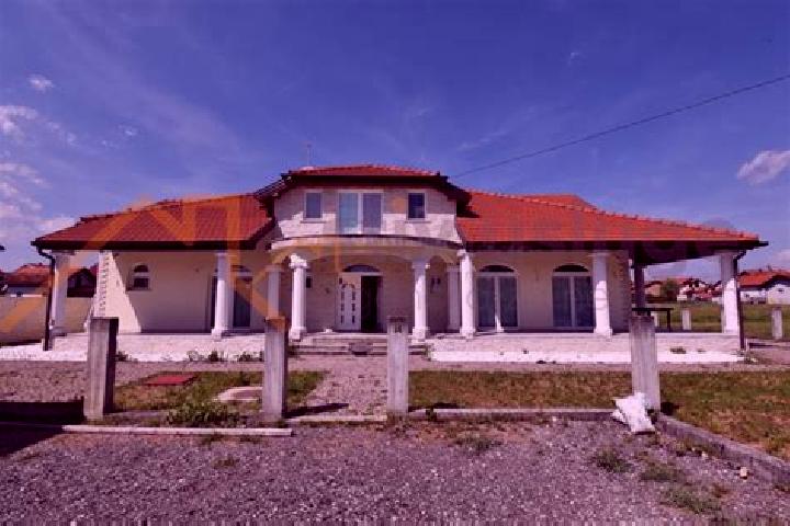 Aurora, 25 — Escort in Lukino Selo, Serbia