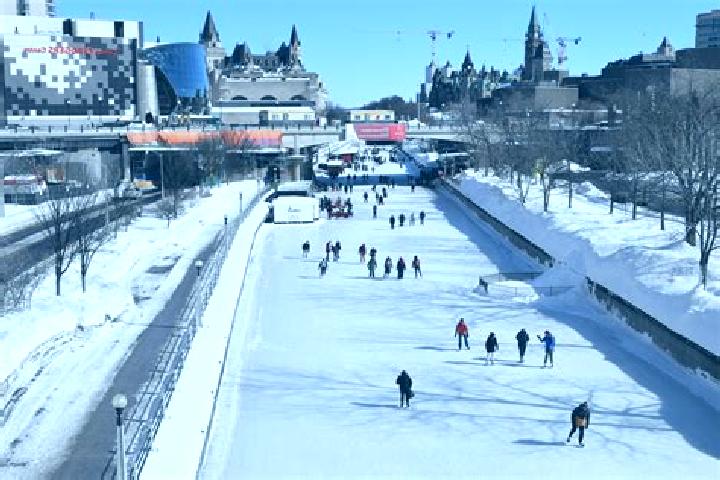 Aurora, 25 — Escort in Rideau Park, Canada