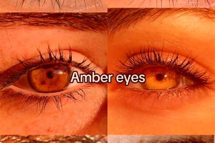 Aurora, 26, a brunette amber-eyed middle eastern companion based in Horgen. Offering GFE, CIM, Dinner Date. Available for incall and outcall, day and evening...
