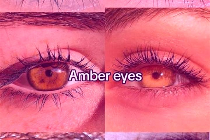 Aurora, 26, a chestnut amber-eyed mixed companion based in Chatham. Offering Massage, 69. Available for incall and outcall, overnight bookings available.