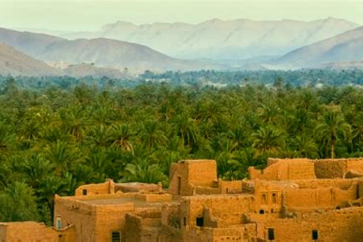 Aurora, 26 — Escort in Jamaat Shaim, Morocco