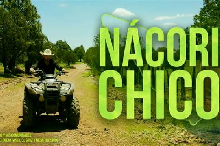 Aurora, 26 — Escort in Nacori Chico, Mexico