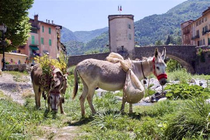 Aurora, 26 — Escort in Sospel, France