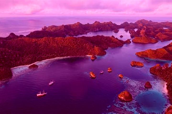 Aurora, 26 — Escort in Sukonolo Krajan, Indonesia