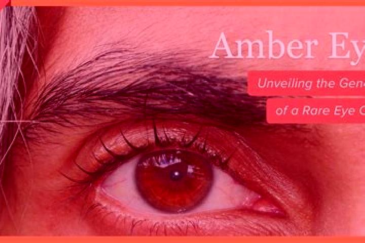 Aurora, 27, a black amber-eyed caucasian companion based in Sansepolcro. Offering A-Level, Travel Companion, Massage. Available for incall and outcall, day a...