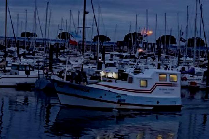 Aurora, 27 — Escort in Aiguillon, France
