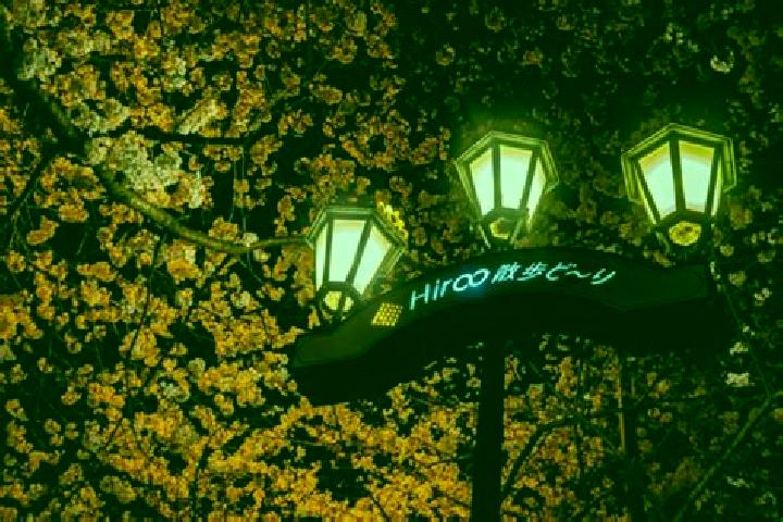 Aurora, 27 — Escort in Hiroo, Japan