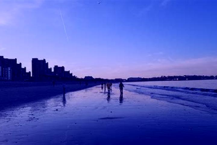Aurora, 27 — Escort in Lido Beach, United States