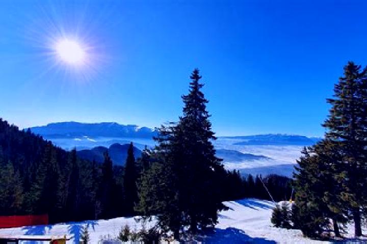 Aurora, 27 — Escort in Poiana Seciuri, Romania