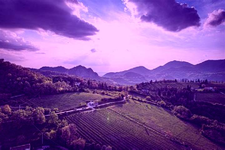 Aurora, 27 — Escort in Povegliano, Italy