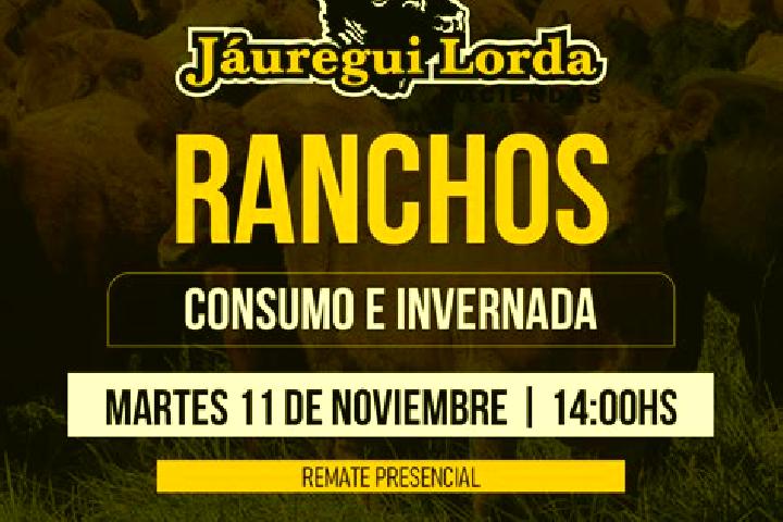 Aurora, 27 — Escort in Ranchos, Argentina