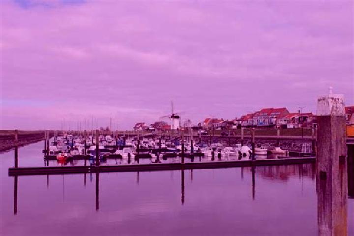 Aurora, 27 — Escort in Stavenisse, Netherlands