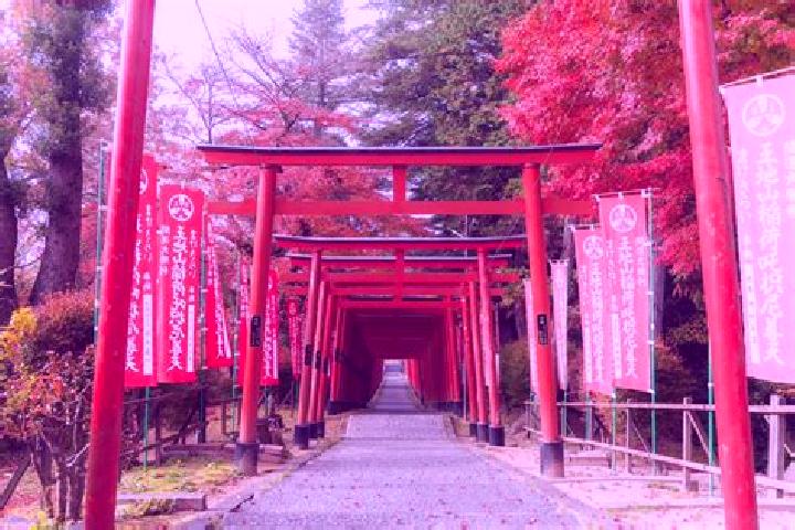 Aurora, 27 — Escort in Tamba-Sasayama, Japan