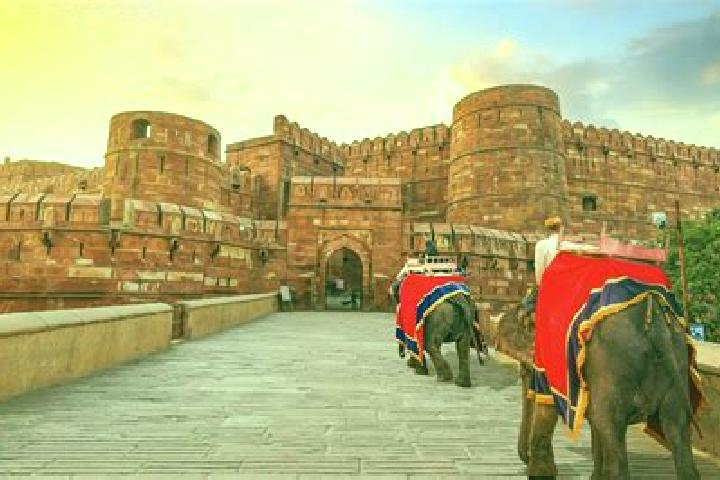 Aurora, 28 — Escort in Agra, India