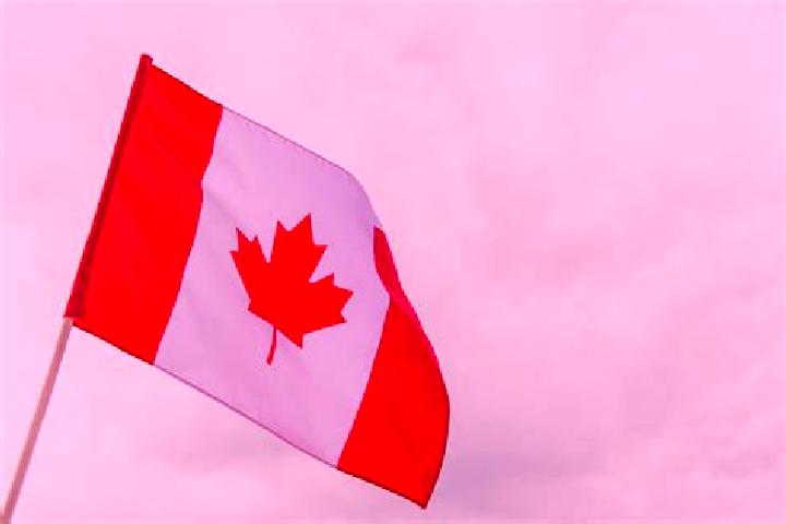 Aurora, 28 — Escort in Kingsway South, Canada