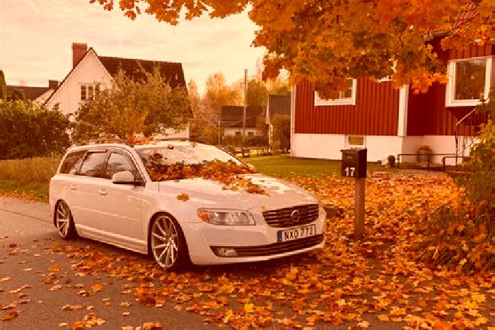 Aurora, 28 — Escort in Kinna, Sweden