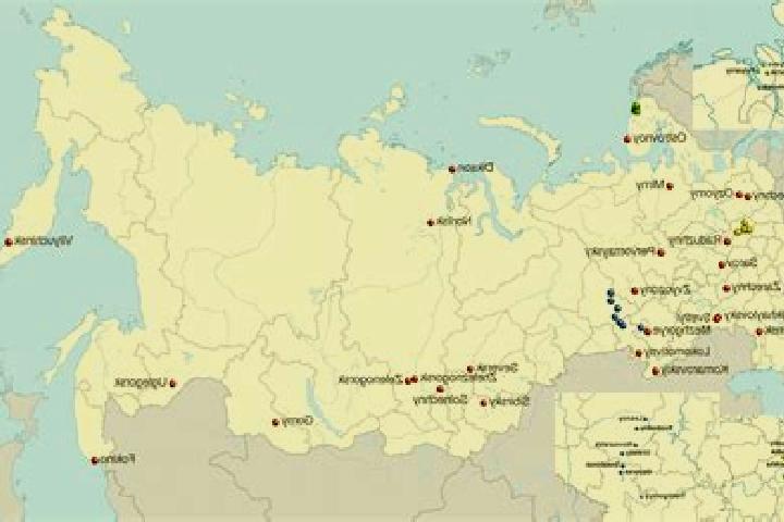 Aurora, 28 — Escort in Kusocha, Russia