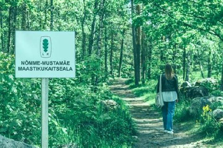 Aurora, 28 — Escort in Mustamaee, Estonia