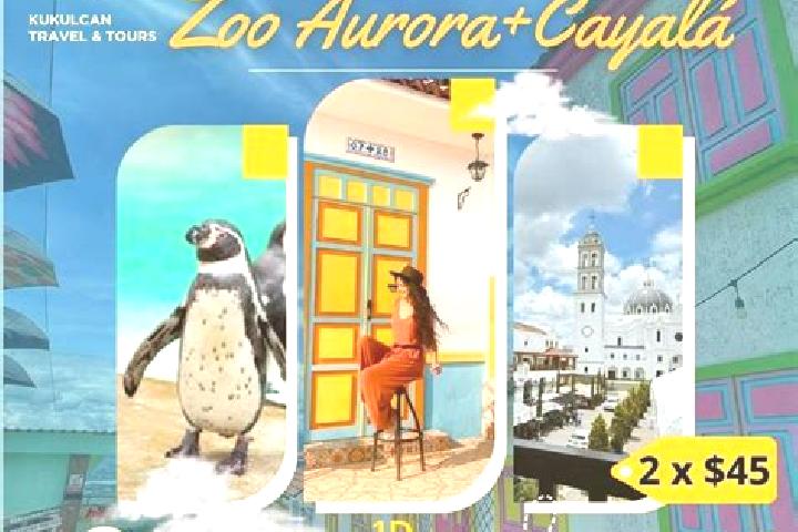 Aurora, 28 — Escort in Pomona, Belize