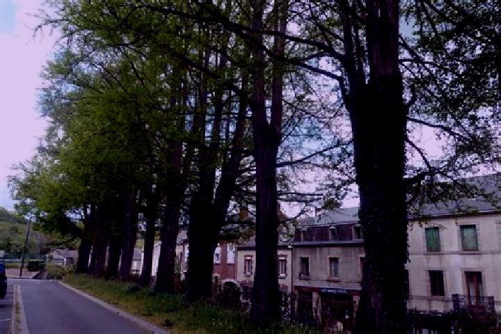 Aurora, 28 — Escort in Saint-Sulpice-Lauriere, France